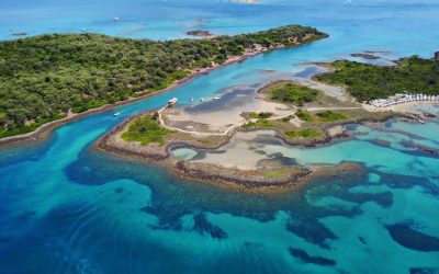 New York Times Backs Evia for 2022