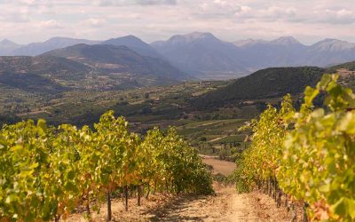 Greece in a Glass: 11 Local Wine Varieties to Try