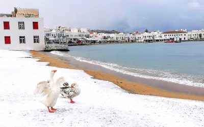 In Pictures: Snow Covers Athens and Greek Islands