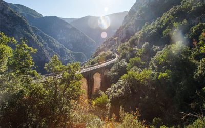 Hikes for Τrain Enthusiasts: The Railway Path in Phthiotida