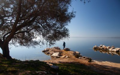 A Road Trip Along the Arachthos River, Epirus