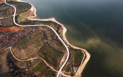 A Road Trip to Lake Kerkini, Central Macedonia