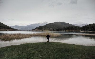 Three Years of MOMus, its Success and Development