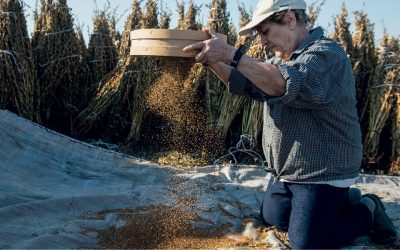 Samythos: The Organic Greek Tahini from Dydimoticho