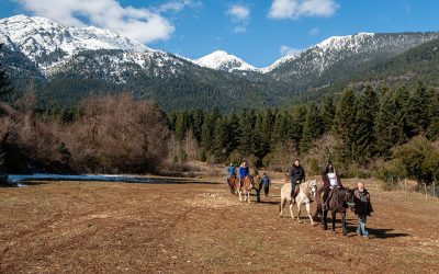A Road Trip From Lake Doxa to Lake Stymphalia