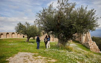 Olive Tourism: A New Greek Travel Trend is Born