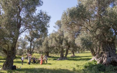 Visit a Greek Farm During Open Farm Days