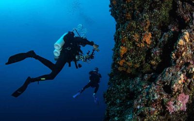 The Coral Gardens of Greece