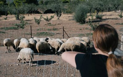 7 Farms and Vineyards to Visit Near Athens
