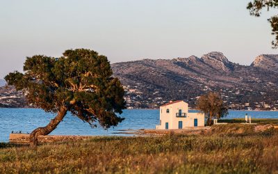 Historic Salamina: On the Trail of a Poet