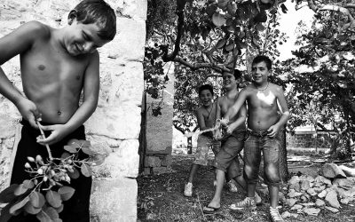 Photographer Dimitris Vlaikos’ Book “MYRMIDONES” Reflects on Aegina