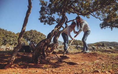 Chios: 10+1 Summer Experiences