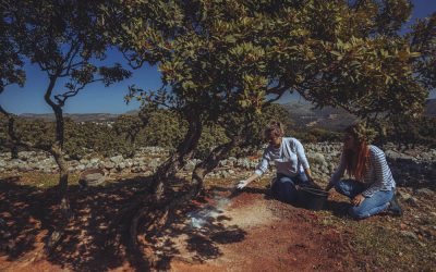 Agritourism on Chios – Our Day as Mastic Growers