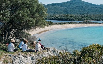 Finding Inner Peace at Evia’s Yoga Retreats