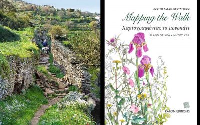 Mapping the Walk: The Wildflowers of Kea