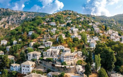 Pilio – Fun for Everyone