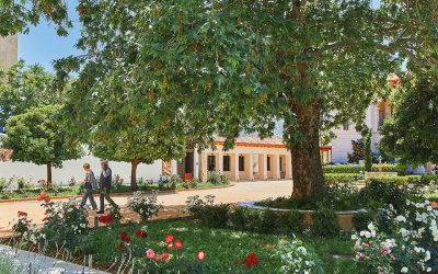 7 Lesser-Known City Oases for Enjoying the Silence in Athens