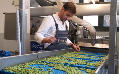 Greek Olive Oils Earn 42 Prizes at Anatolian Competition