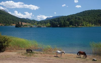 Lakes Doxa and Stymphalia: A Peaceful Alternative to the Beach