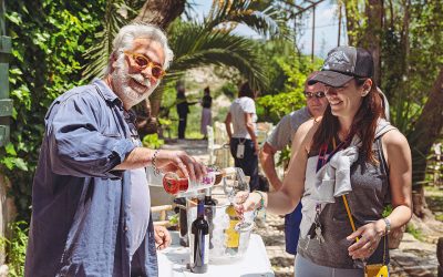 Wine Tourism in Greece: 10 of Our Favorite Destinations