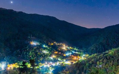 Mushroom Hunting in the Mountains of Achaia