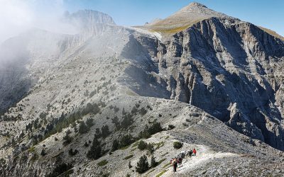 Exploring Olympus: Can the Ice Talk?