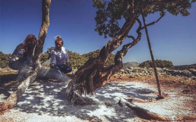 The Caretakers of the Precious Mastic Tree