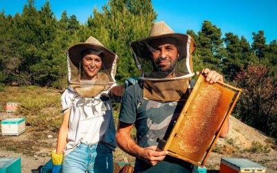 Bee Naturalles: The “Gastro-Honey” from Northern Evia