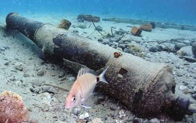 Bringing the Archaeological Treasures of Halkidiki to Light