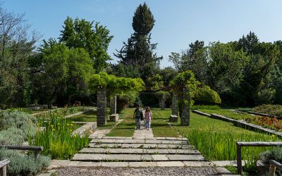 7 Springtime Ideas to Connect with Nature in Athens