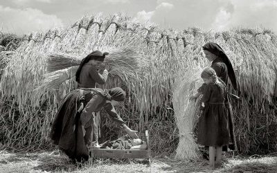 Nelly’s: Setting the Image of Greece in the Mind of the World