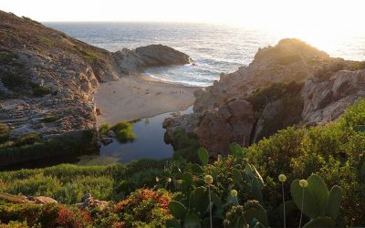 Lonely Planet: Ikaria Among the World’s Top 50 Destinations for 2024