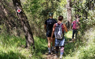Stemnitsa: The Story of Arcadia’s Trail Revival