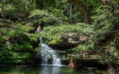 Andros: Greece’s Top Hiking Island for 2025