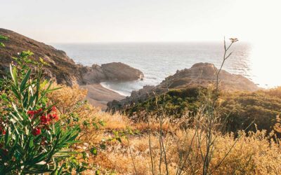 Living and Cooking on the Island Where People Forget to Die