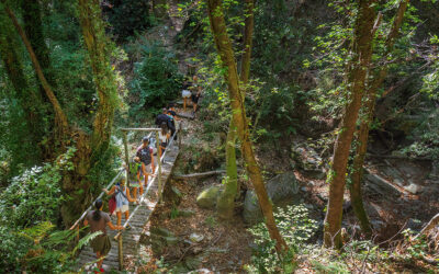 Walking the Restored Stone Paths of Tsagarada in Pilio