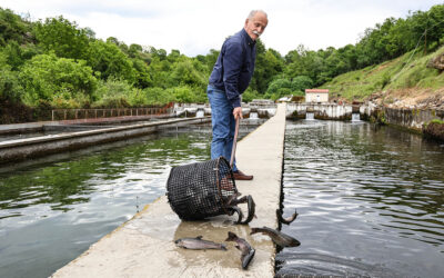 People of Serres: Building a Future from the Heartland