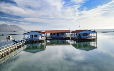 A Cultural Culinary Getaway in Messolonghi