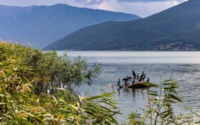 Three Countries Unite in UNESCO Bid for Great Prespa